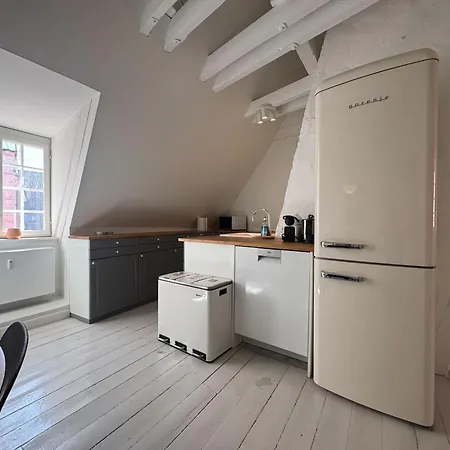 Cozy In Heart Of Near Stroget & Hojbro Plads Apartment *