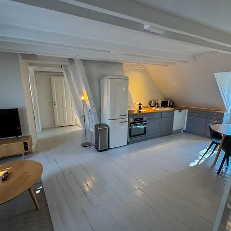 Apartment Cozy In Heart Of Near Stroget & Hojbro Plads *