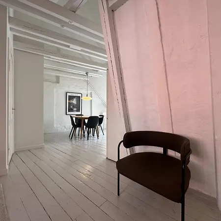 Apartment Cozy In Heart Of Near Stroget & Hojbro Plads *